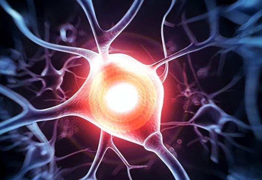 早上运动好，还是晚上好？这个时间运动，心脏、大脑和血管更健康