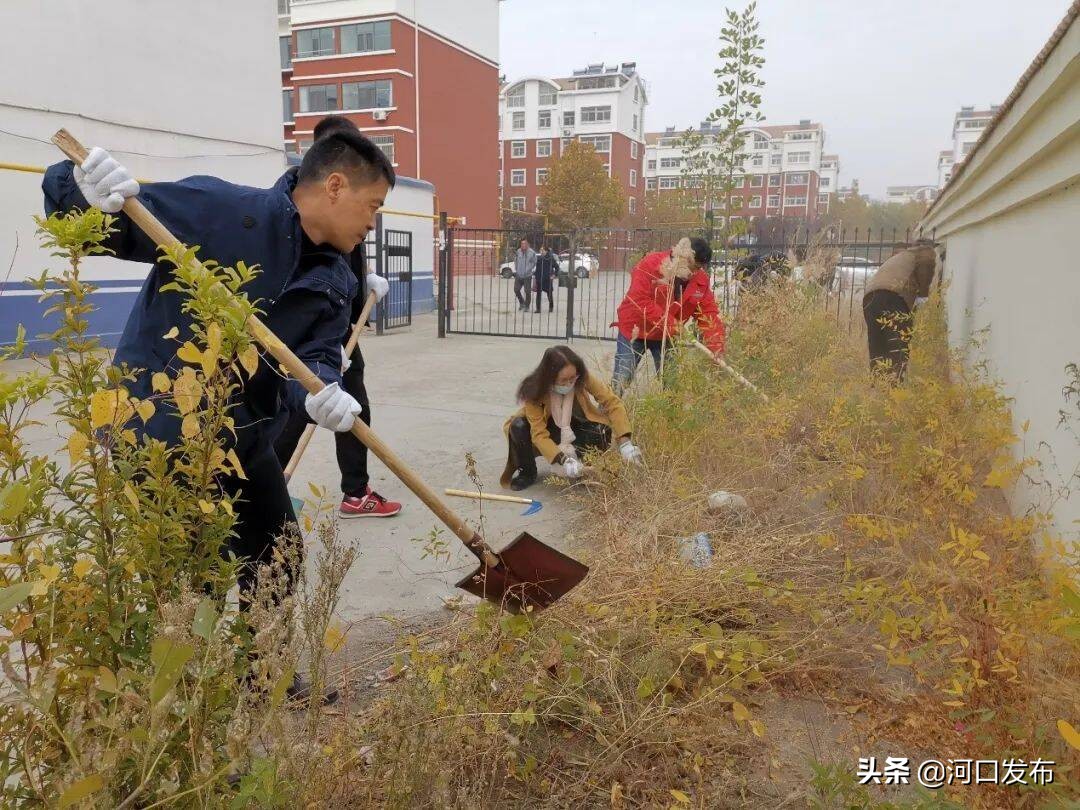 五星级党支部创建标准流程,如何创建支部过硬星支部