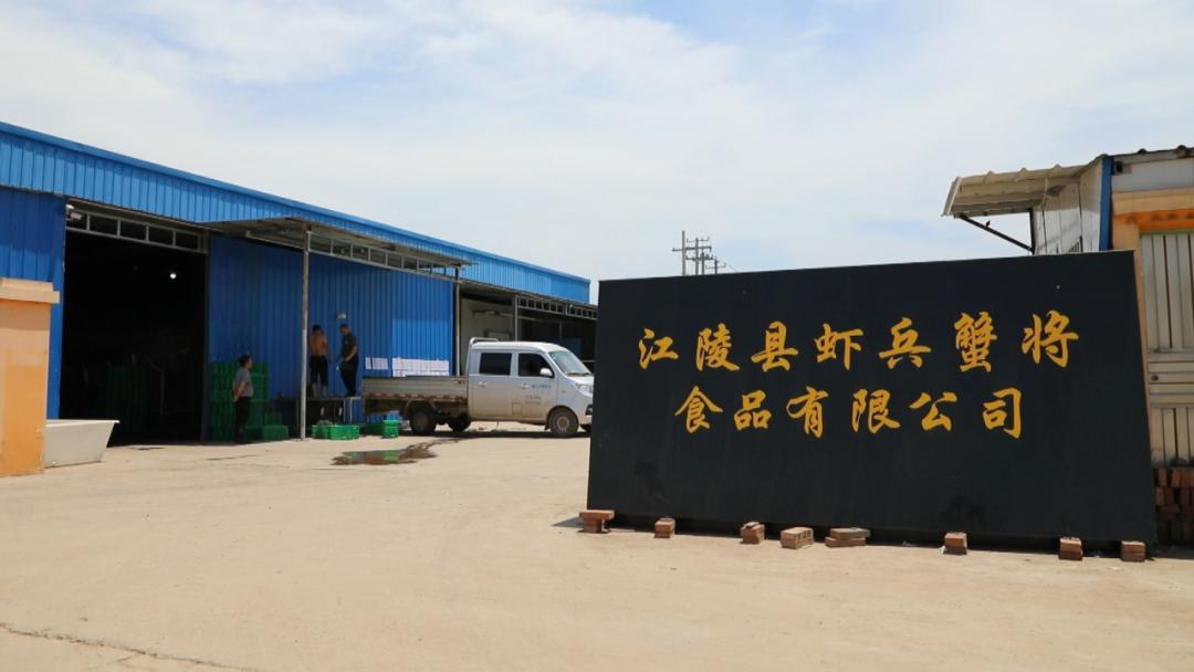 白马寺镇：发展顾问成为农户致富的“香饽饽”