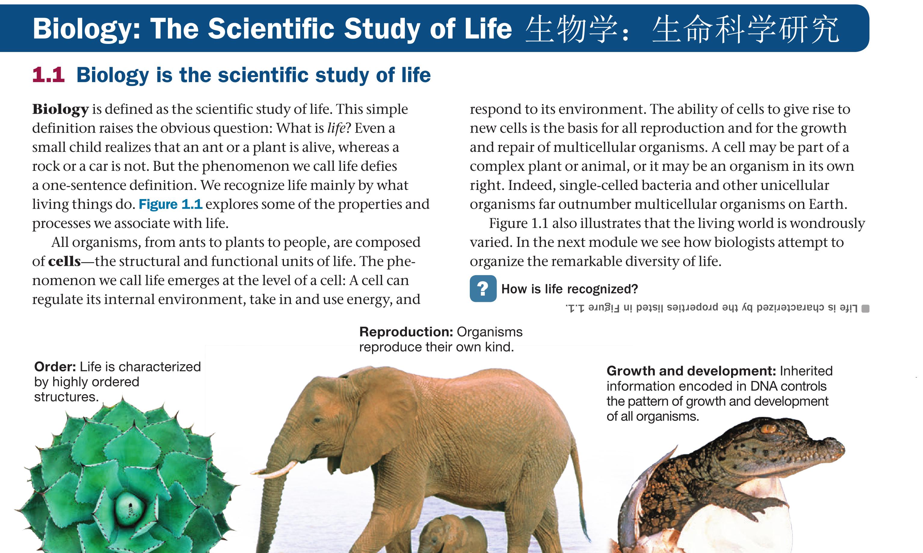 1到10英语单词快速记忆,friend单词快速记忆