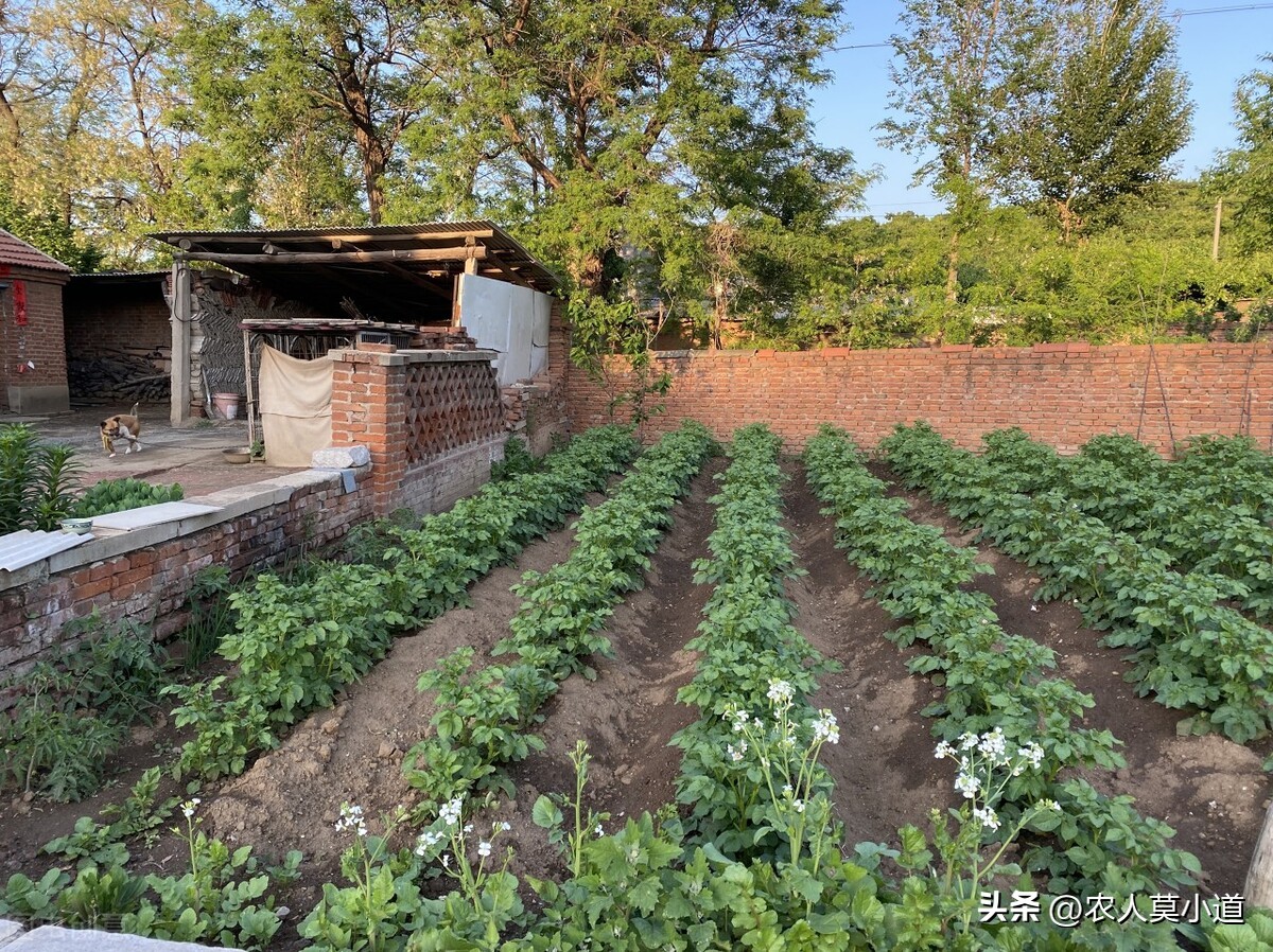 农村改厕为什么厕所里面不管？现在如何申请？如何领取？