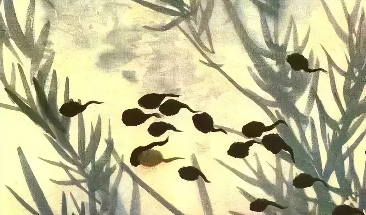 不应错过的一部动画电影：《深海》