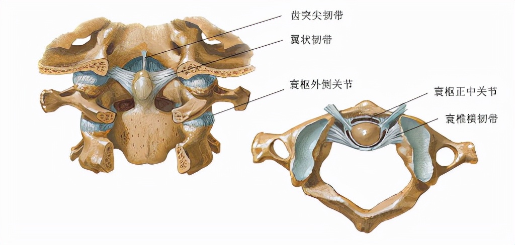儿童落枕最快恢复办法,落枕了30秒自愈方法儿童