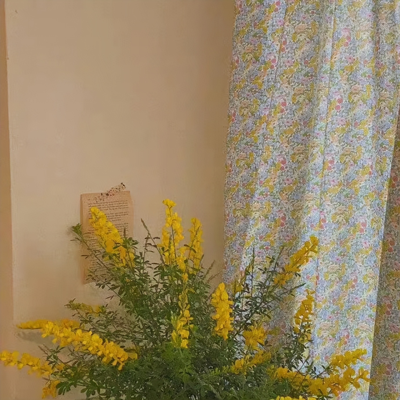 100个极简日常小建议,极简生活100个建议