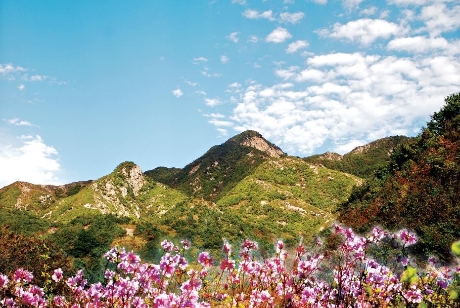 18万人涌入凡客诚品销量,大量用户涌入