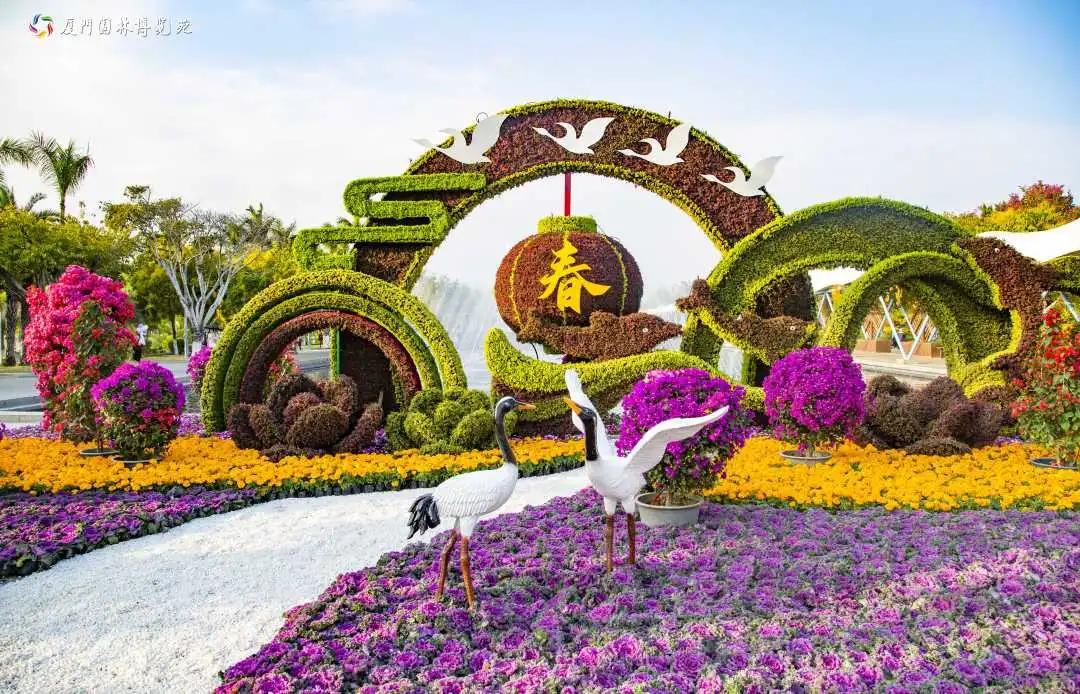 最新厦门游玩攻略,厦门5天新年游玩攻略