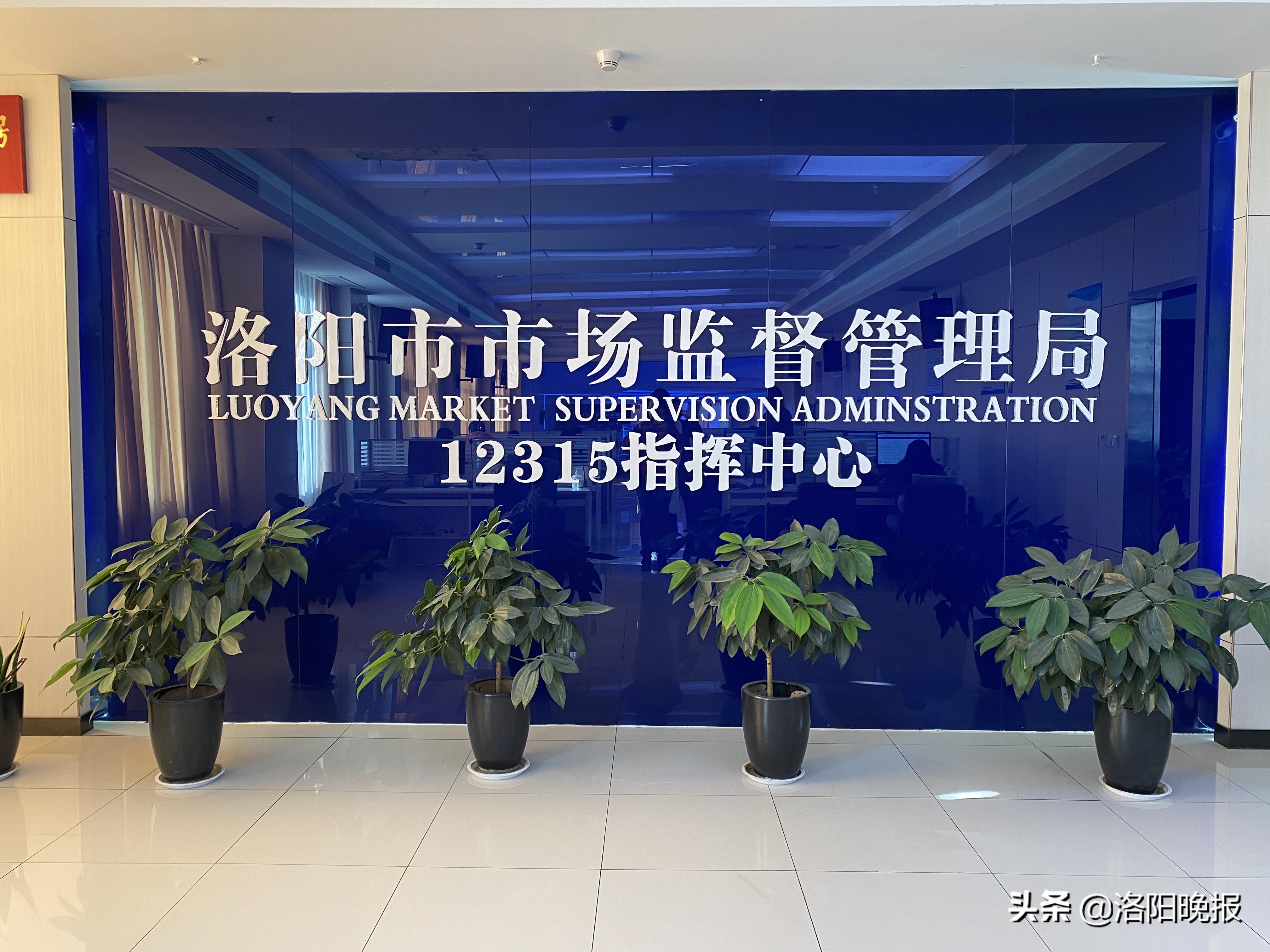 洛阳在线购物,洛阳网上购物