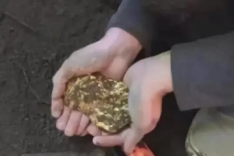 山西老农砍柴发现藏金洞,山西老汉发现山洞洞里藏金砖