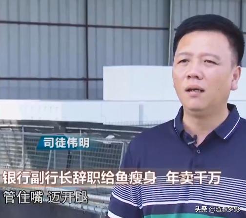 银行副行长辞职赚钱,中国银行副行长辞职