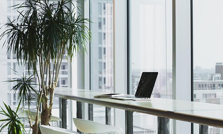 拍写真便宜的app,预算不够想拍人像买什么相机