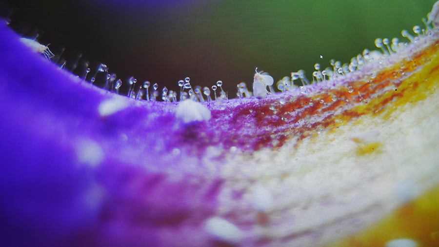 兼顾高亮度和0仰角超短焦,理光RU226ST商务投影仪上手评测