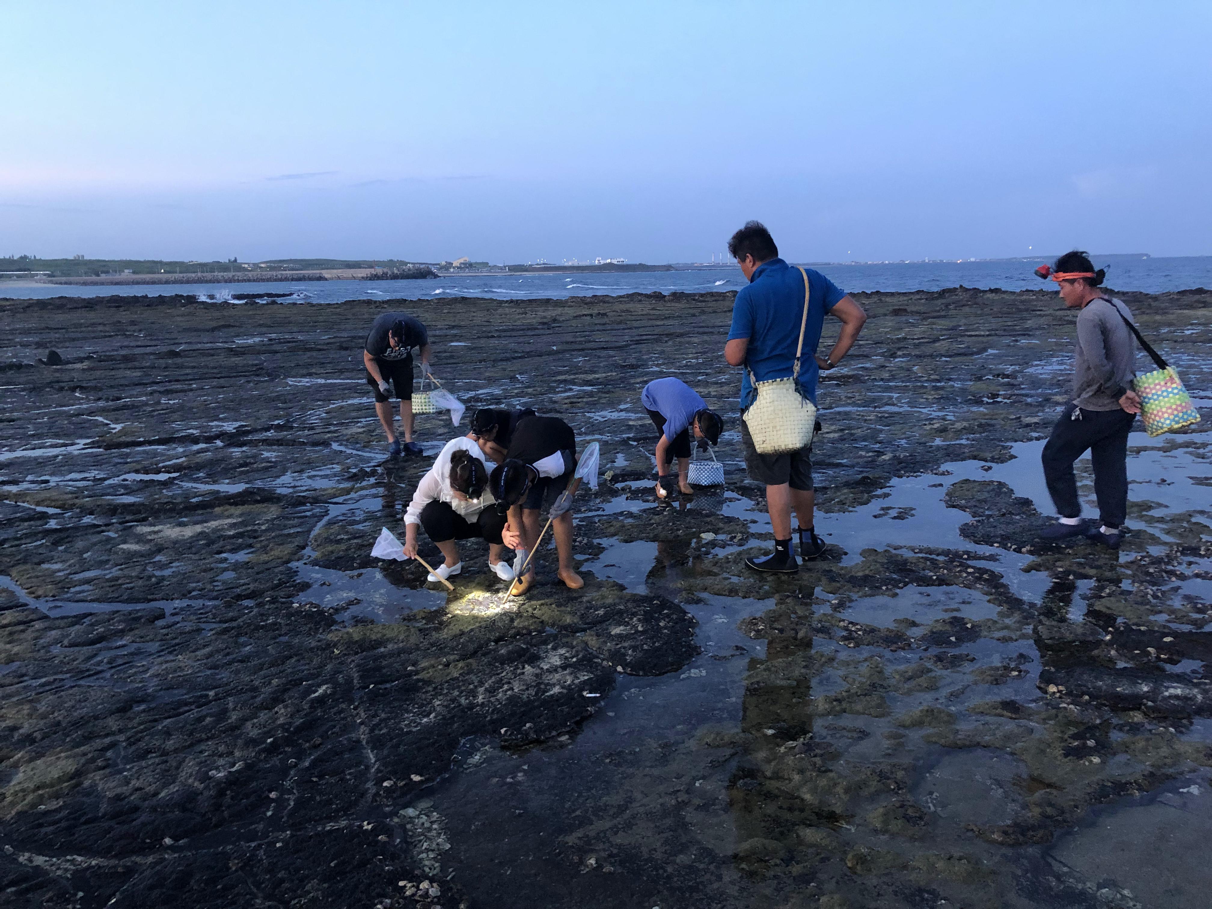 台湾8天7夜环岛行散记,台湾15天自由行攻略