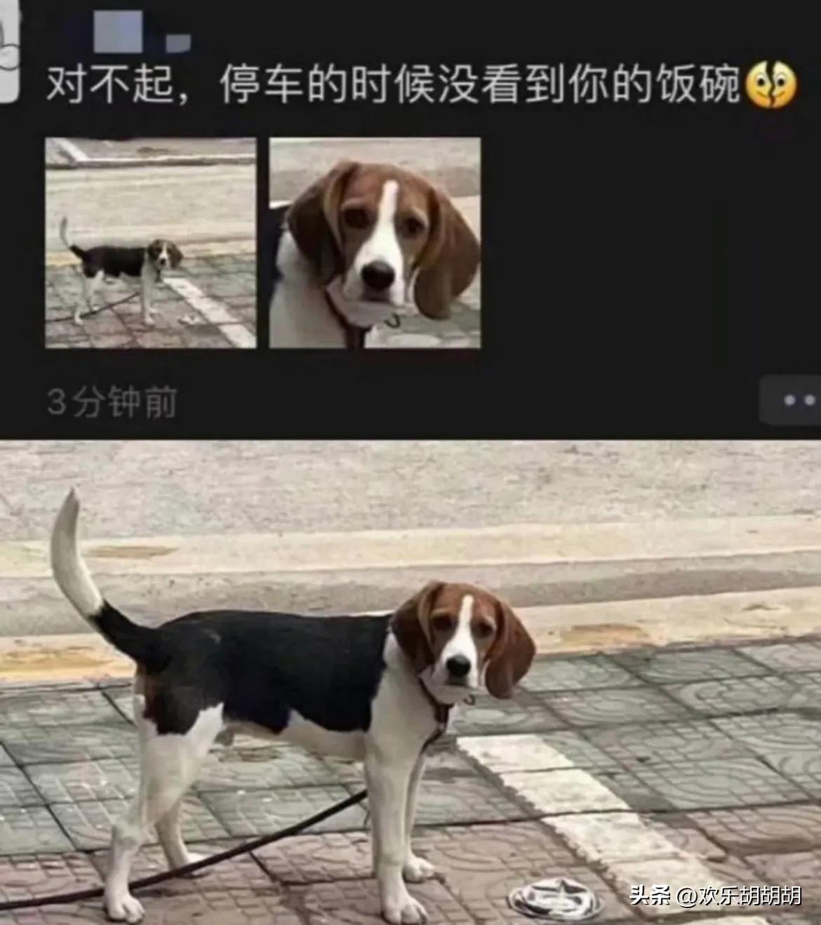 你知道为什么男生都喜欢女生笑吗,你知道为什么男生喜欢女生吗