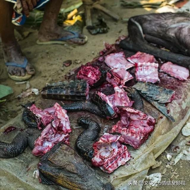 “颠覆”你“认知”的非洲市场，生猛海鲜超便宜