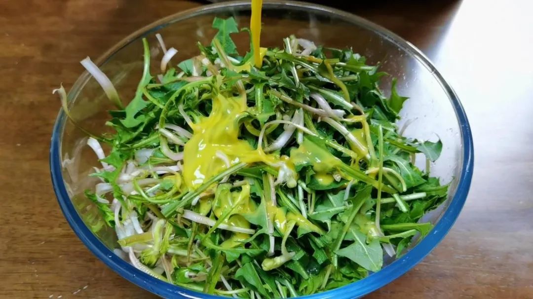 藏在草丛里的“护肝冠军”，全身都是宝，比韭菜鲜美，比豆腐营养