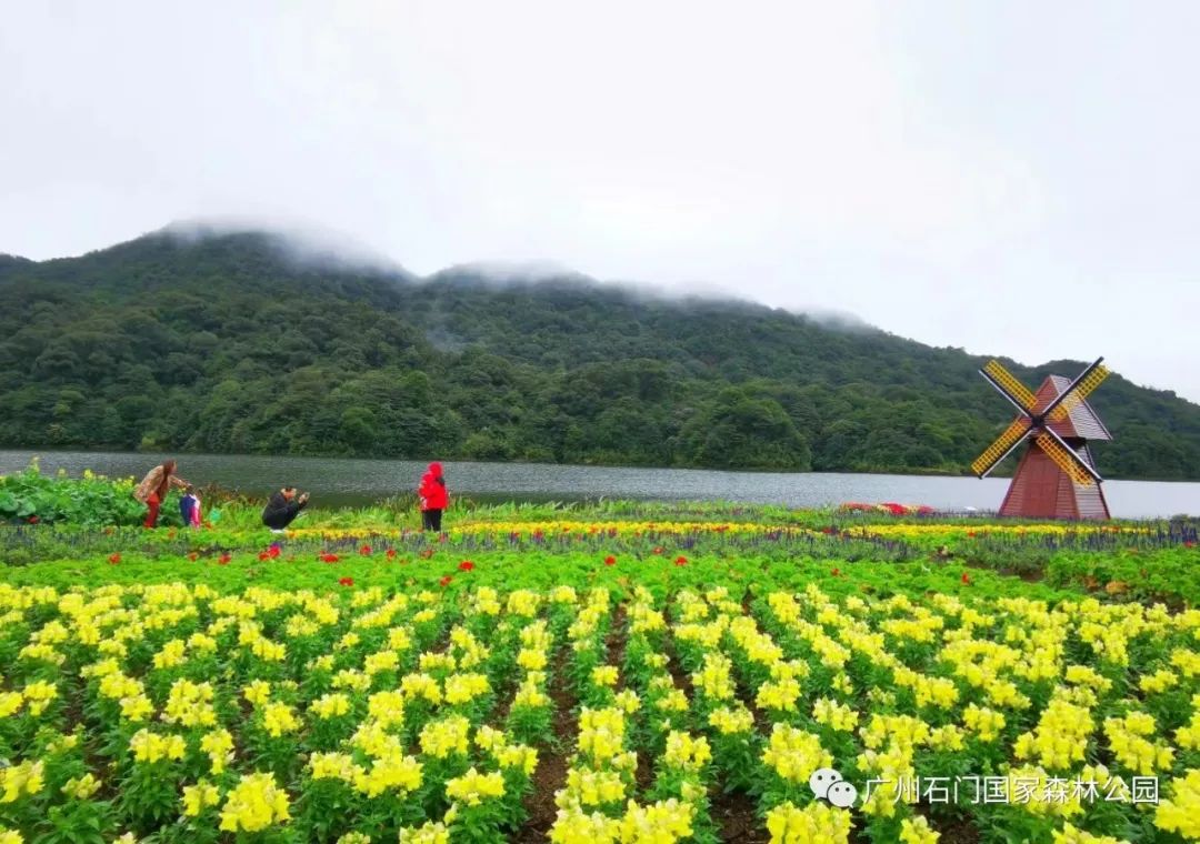 新春攻略生肖派对,新年怎么玩好玩