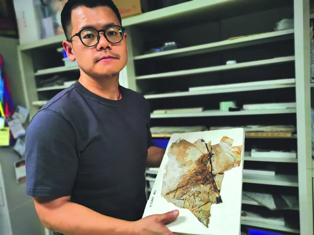 误闯恐龙世界,误闯进恐龙地盘