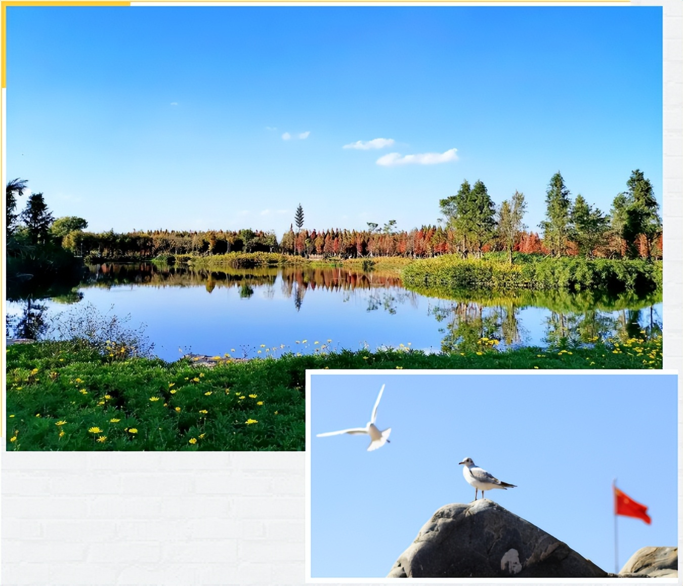 在休闲度假区有什么项目可操作,快来看看哪些项目更受欢迎