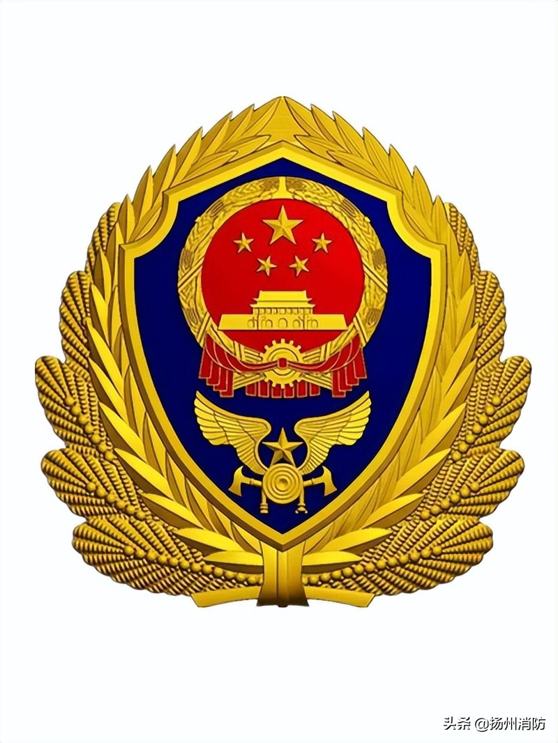 安全相“莲”，“宜”路清风，共筑幸福港湾——宝应县消防救援大队召开2022年家属助廉座谈会