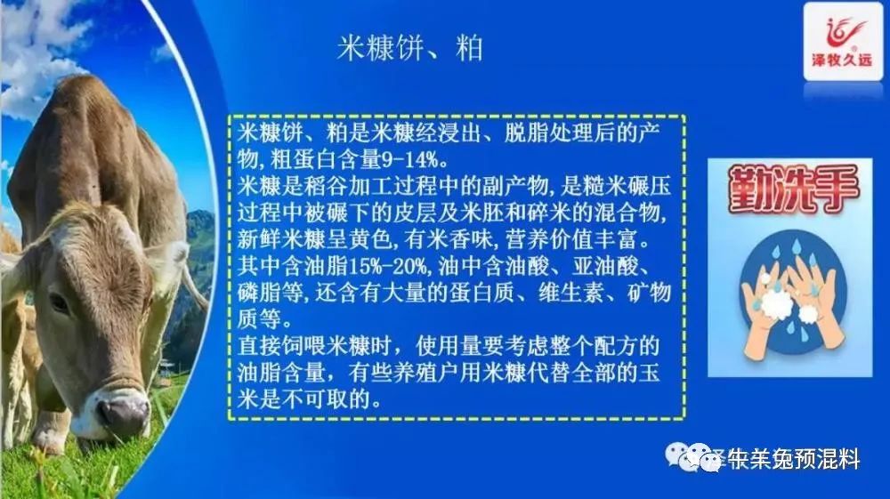 豆粕暴涨严重影响养猪业,豆粕疯涨能用什么替代