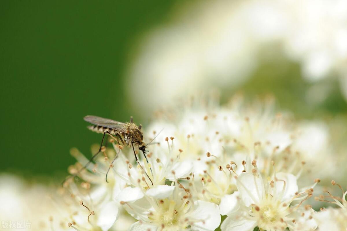 南方被北方更胜一筹？这我很难评