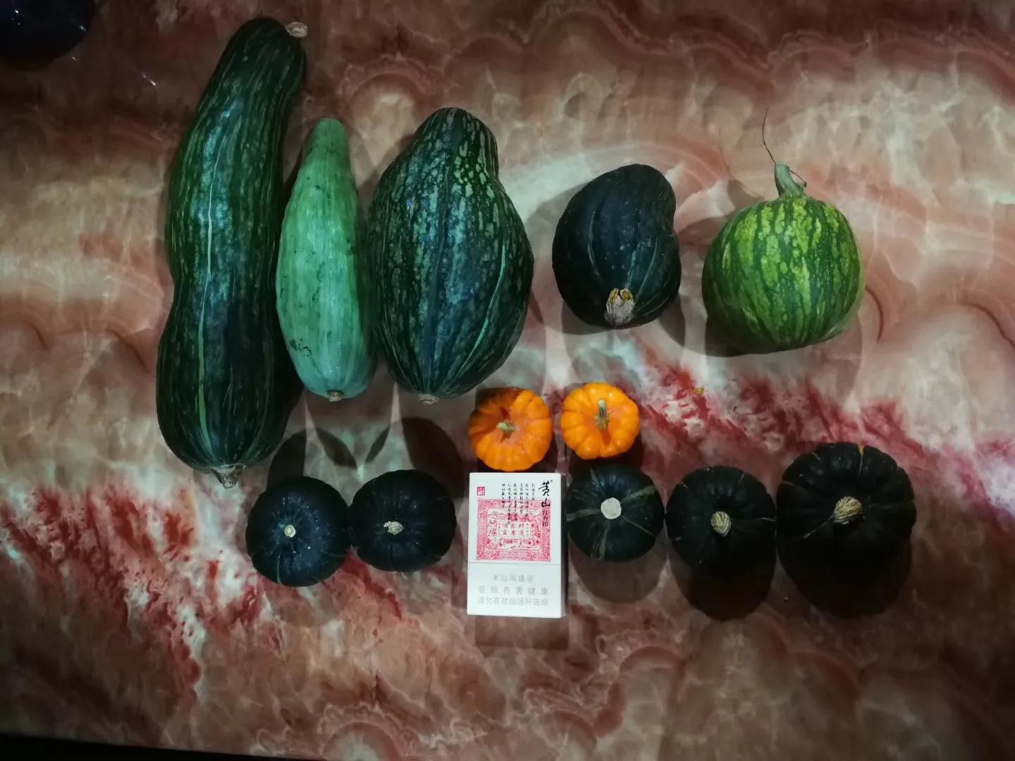 浣犵煡閬撶殑杞熀鍥犱綔鐗╂湁鍝簺,鏈夊摢浜涜浆鍩哄洜浣滅墿杩樻湭鐮旂┒