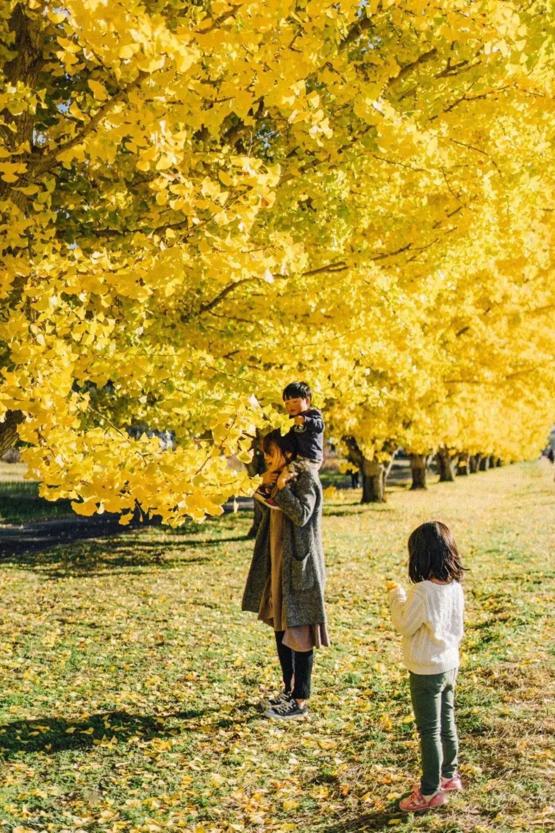 爸爸拍坏人女儿却被偷走完整版,日本爸爸偷拍孩子