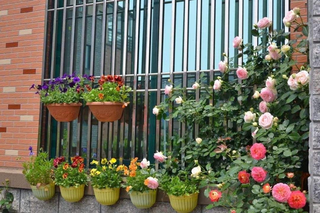 住11层顶楼带屋顶花园真实感受,高层顶楼露台花园真实感受