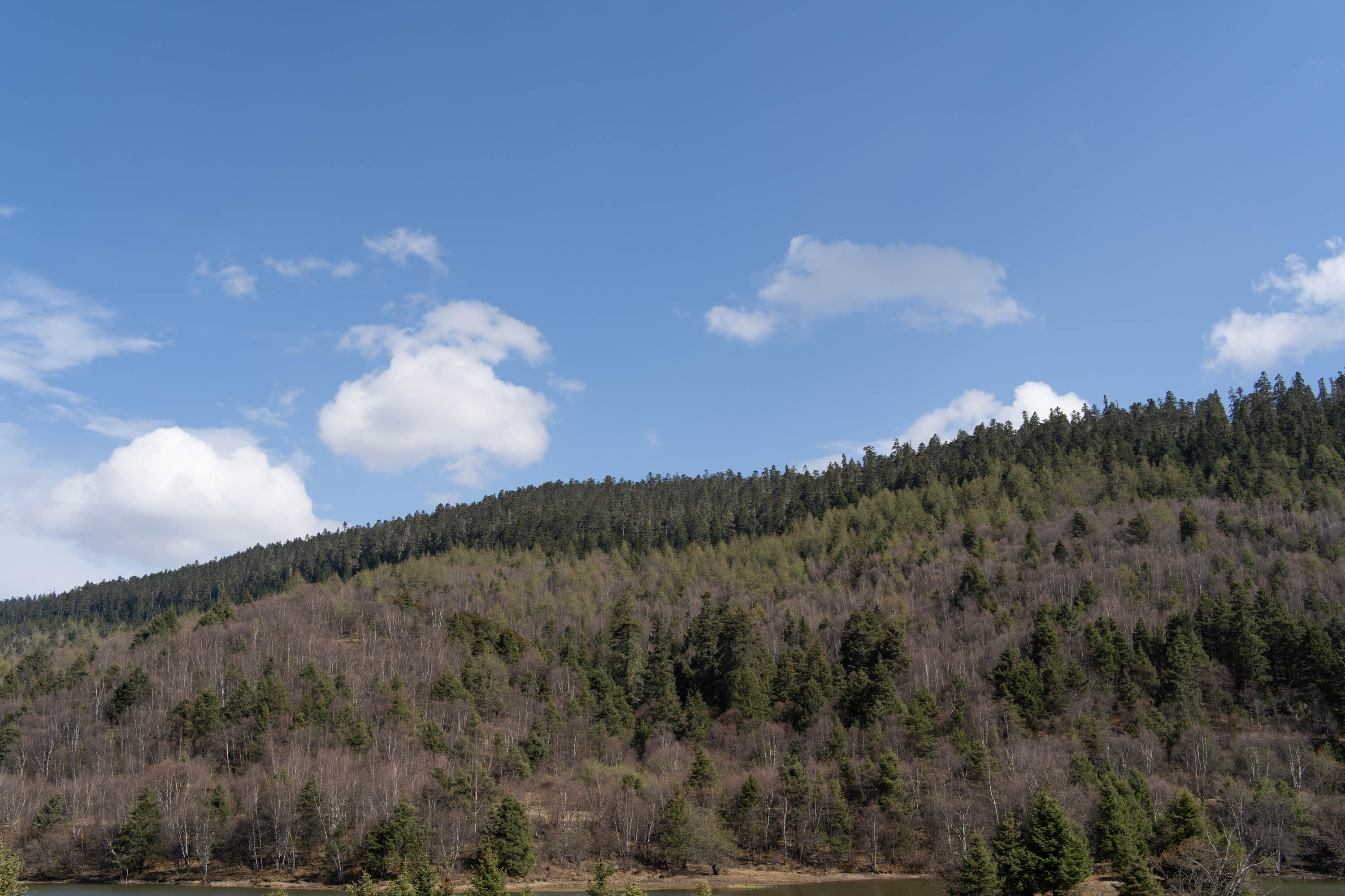 去云南跟团一日游攻略图片大全集,云南六日游跟团路线攻略大全