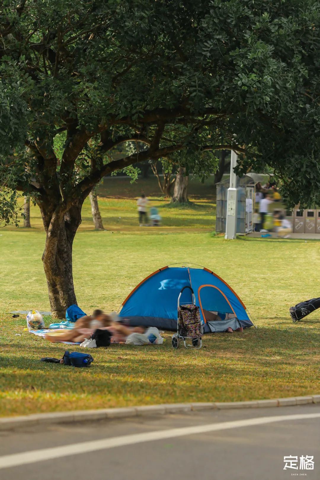深圳地铁可以直接去的免费景点,深圳免费地铁直达景点12号线