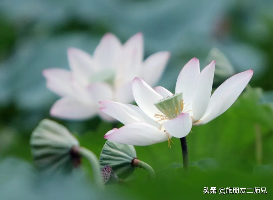 花都红山村自由行攻略,广州花都公园旅游攻略