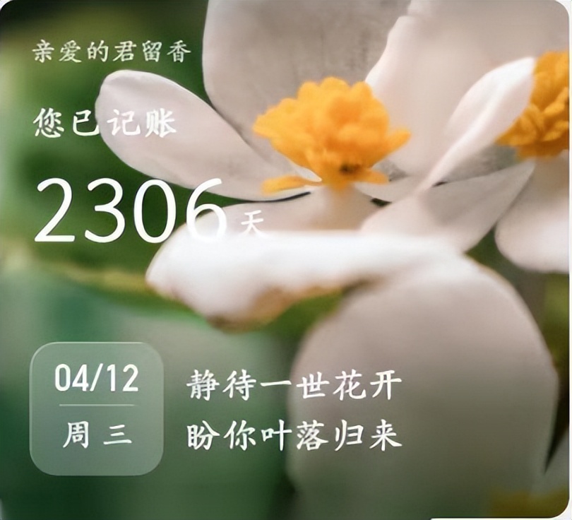 最好用的记账软件,比较好用的记账软件是