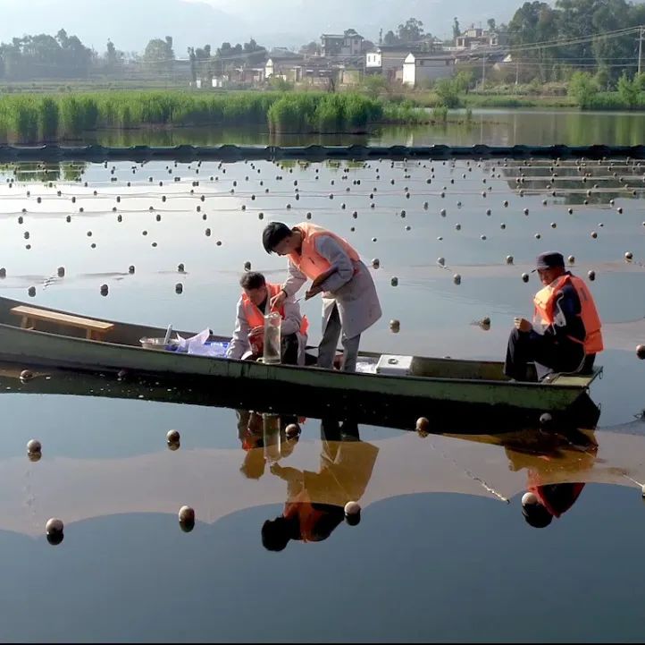 鎺ヨ繛鑾峰緱涓ら」娈婅崳,鑽h幏涓ら」澶у