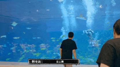 岳云鹏挑战潜水,岳云鹏七大高情商场面