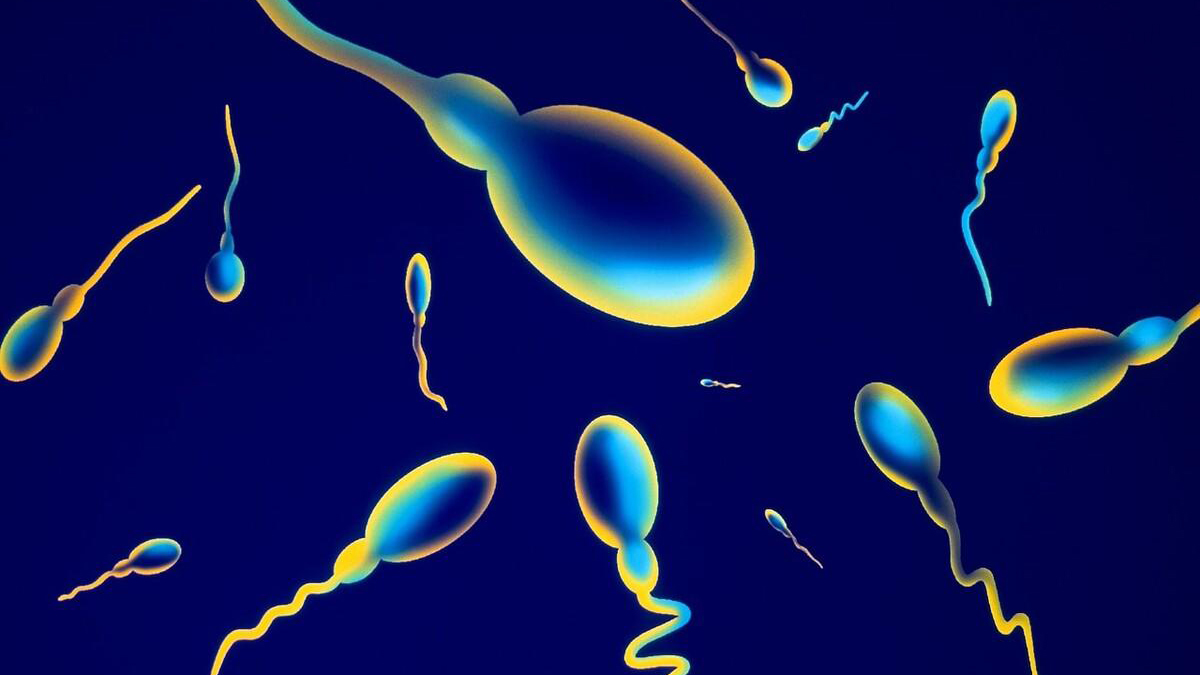 进入女性体内后,结合失败的精子都去哪里了?答案既心疼又好笑