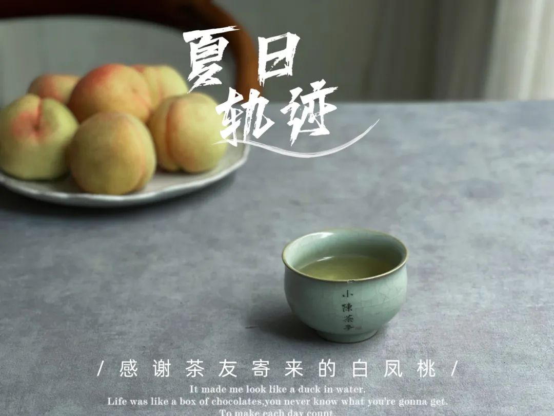 “南郭先生”、拉帮结派、化整为零，说说最近福鼎白茶的一些变化