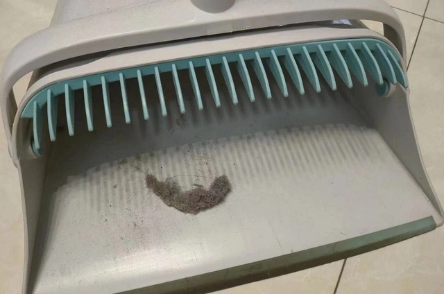 为什么家里毛絮很多如何处理,家中毛絮频频出现