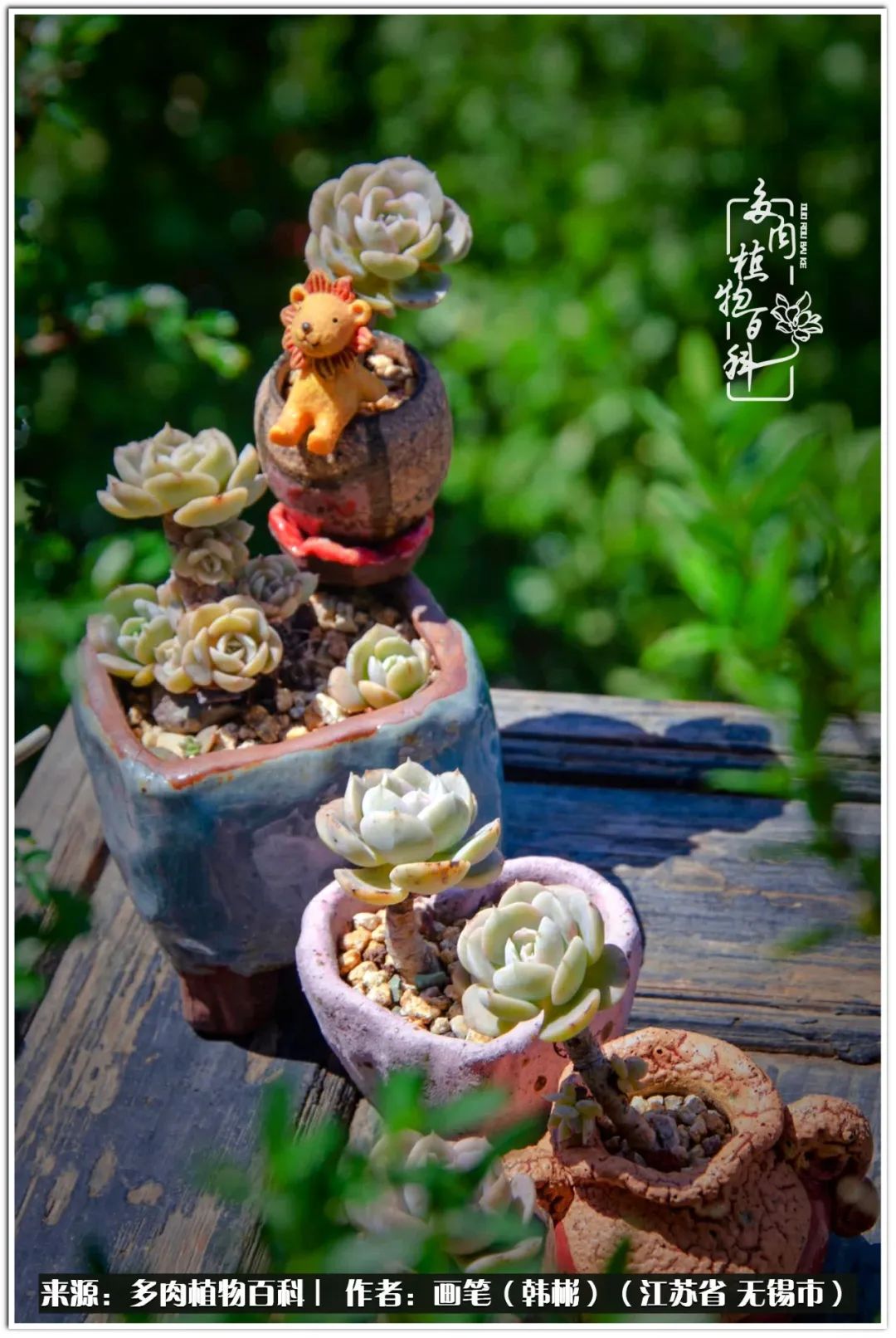 月满西楼别有一番滋味在心头,绿肥红瘦