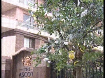 董洁拍白领公寓片段神颜,二十年后再看经典电视剧