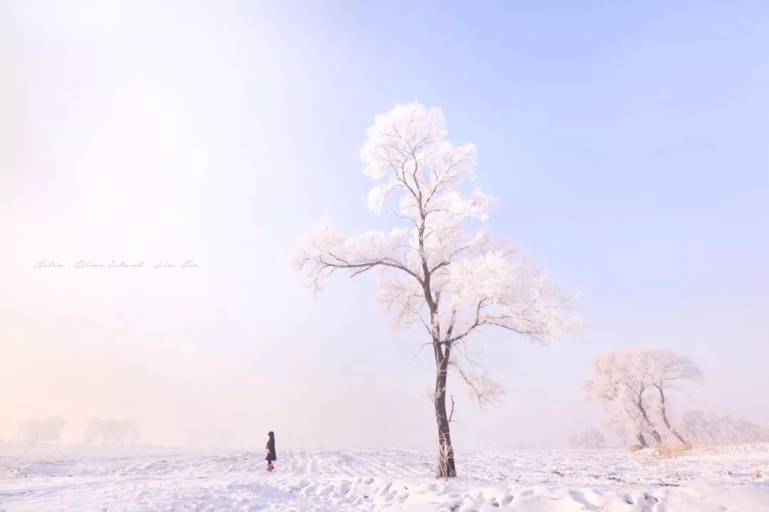 60岁之前必去的34省区最美天堂,最真实最美的旅游地方