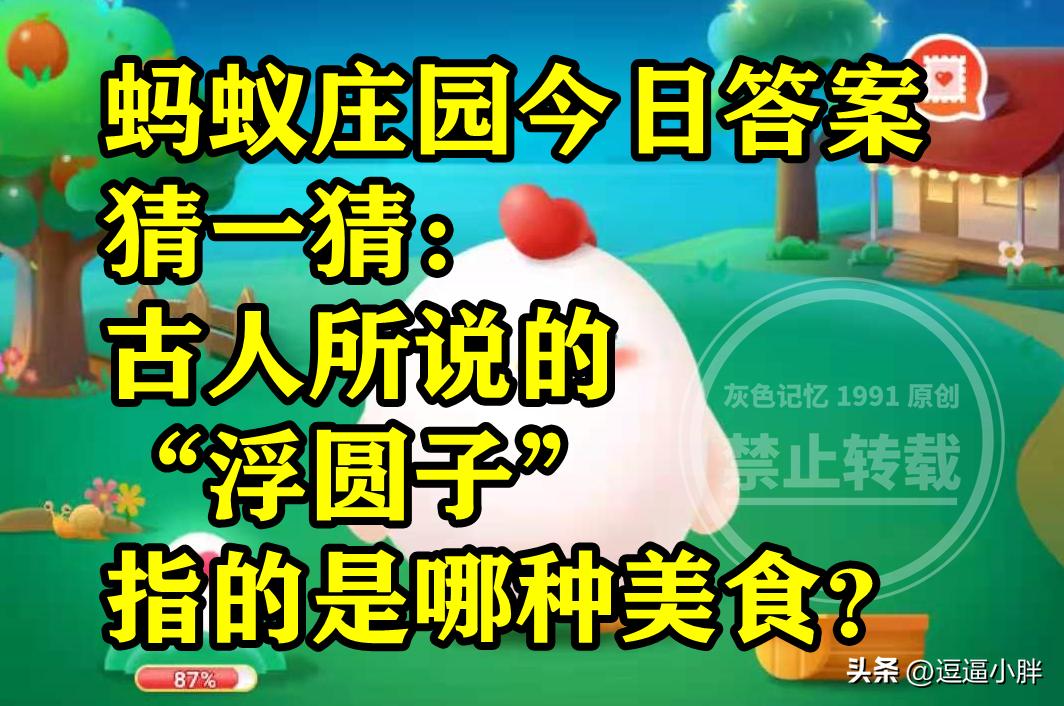 古人说的浮园子指的是哪种美食,古代的浮圆子是什么美食