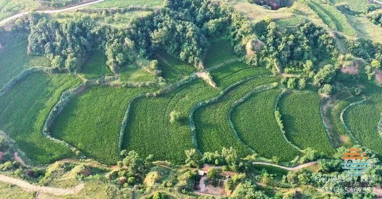 沁县绘就乡村振兴好“丰”景