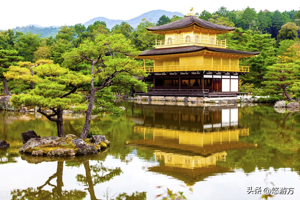 日本旅游攻略6天5夜官网,旅行团6天4夜日本游