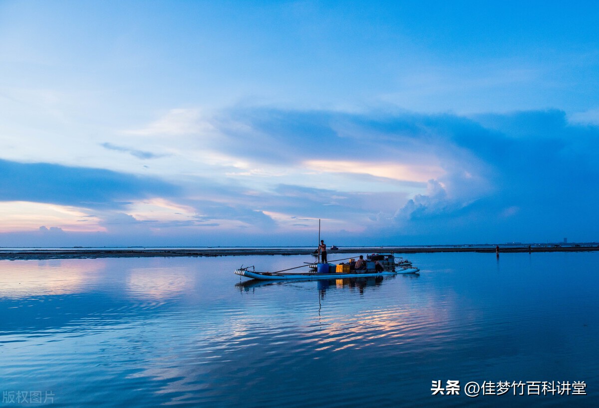 琚嚭绉熻溅鍙告満鎷夊幓娑堣垂,琚嚭绉熻溅鍙告満鎷夊埌骞胯タ