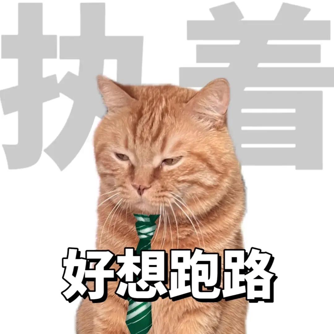 睡醒要上班下班要睡觉表情包,上班下班两副面孔表情包