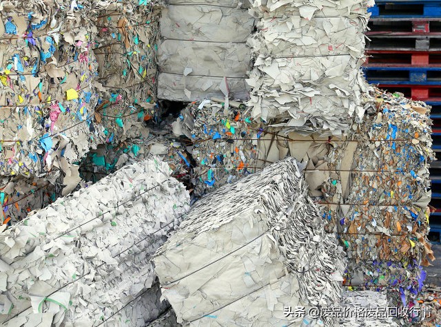 2023国内废纸市场环境分析,2024年1月1日废纸今日行情