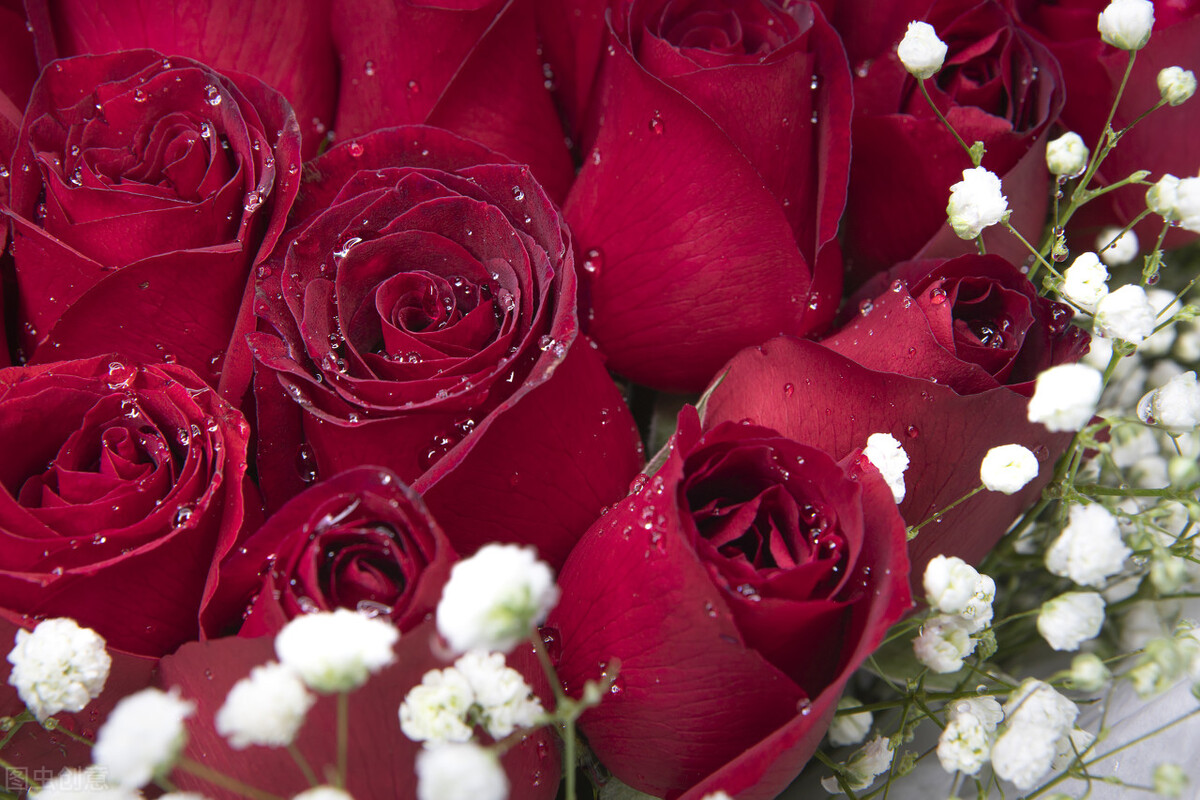 闺女上学谈恋爱怎么办,养女在家里没地位27岁不敢谈恋爱