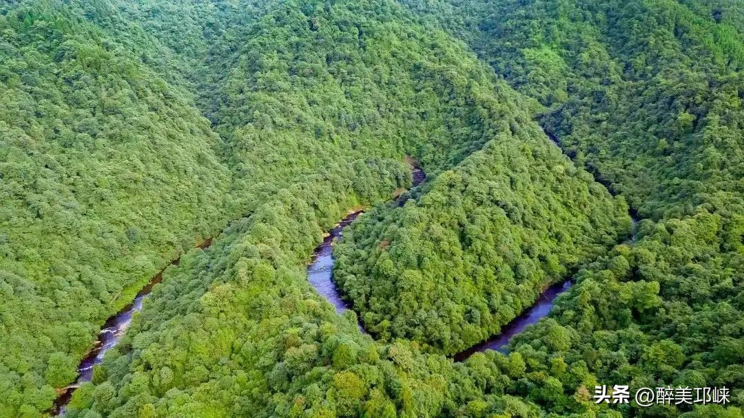 邛崃市级以上个人荣誉有哪些,邛崃市级以上荣誉称号有哪些