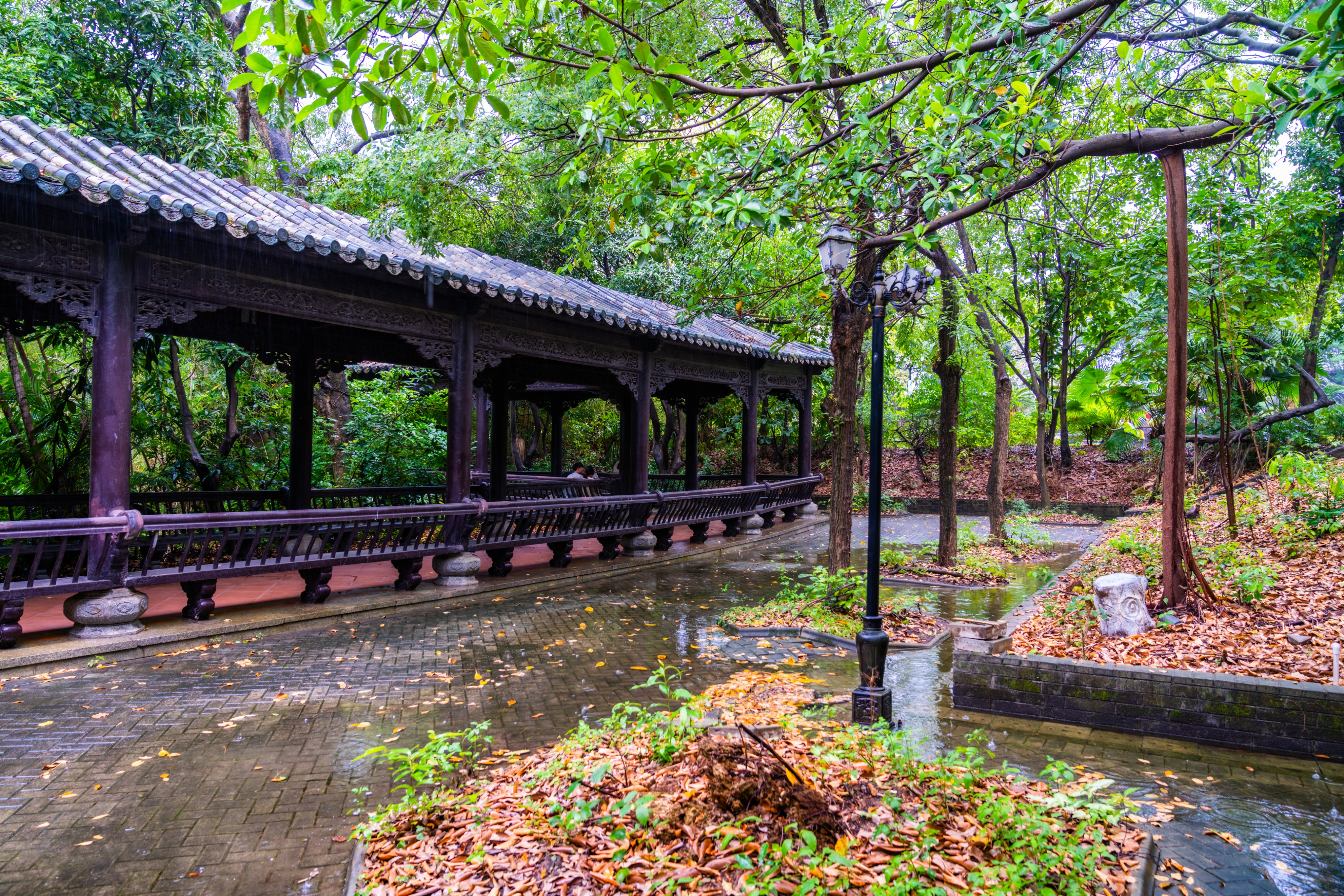 粤晖园国庆游,粤晖园自驾游攻略