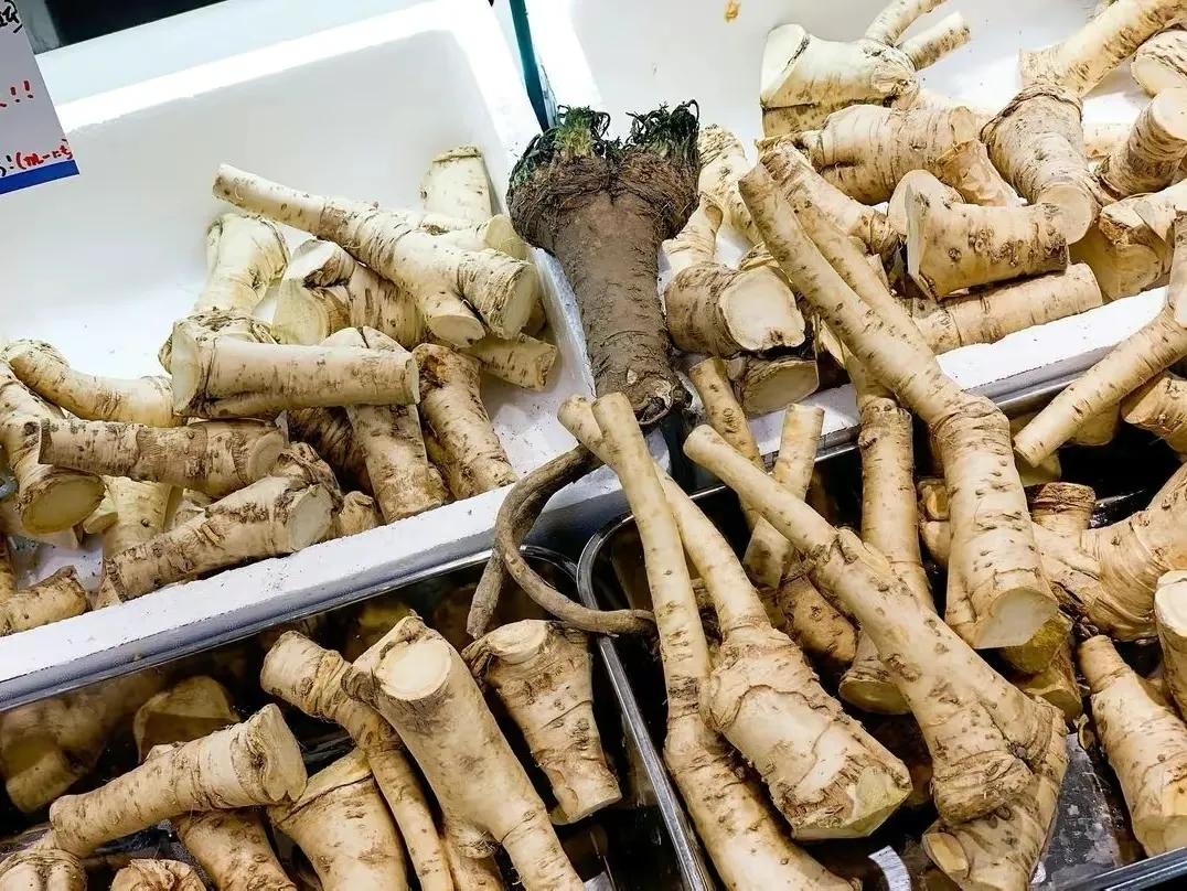 芥末山葵辣根同时放到嘴里,芥末辣根山葵